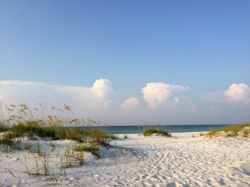 Pensacola Beach Grass